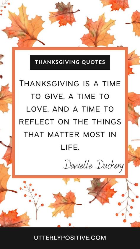 Funny Thanksgiving Quotes, Friendsgiving Quotes, Thanksgiving Quotes Family, Thanksgiving Quotes Inspirational, Thanksgiving Quotes Funny, Calendar Quotes, Thanksgiving Crafts Preschool, Giving Quotes, Thanksgiving Prayer