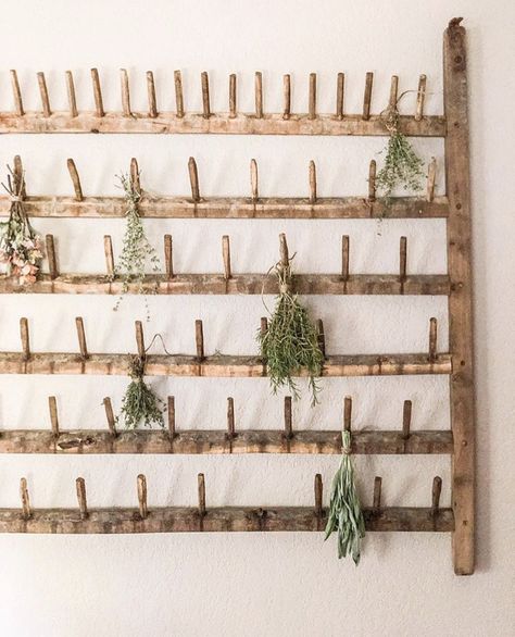 Herb Store Design, Herbalist Kitchen Decor, Modern Herbalist Aesthetic, Herbalist Storage Ideas, Herbalist Shelves, Herbal Store Design, Herbal Apothecary Aesthetic Room, Herbs Aesthetic, Hanging Herbs