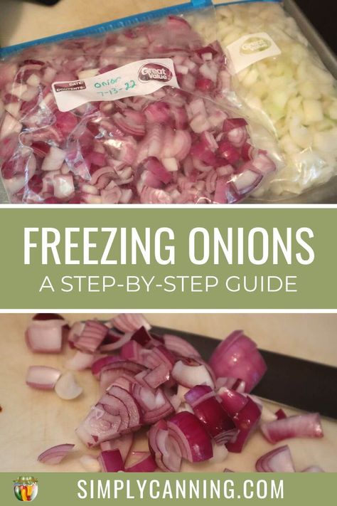 How To Freeze Onions And Peppers, Preserving Onions Food Storage, Freezing Onions How To, Freeze Onions How To, Freezing Green Onions, How To Freeze Onions, Canning Onions, Preserving Onions, Preserve Onions