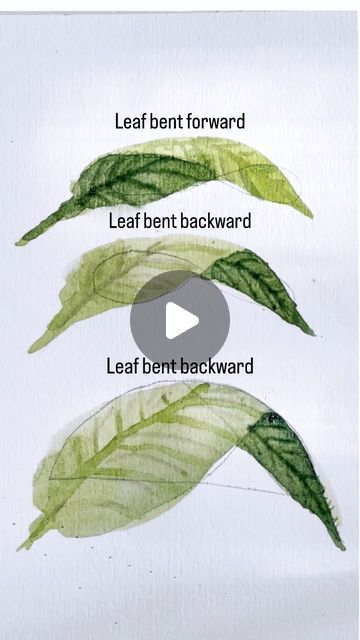 Green Leaves Drawing, Watercolour Leaves Painting, Watercolor Leaves Painting, Leave Watercolor Painting, Watercolor Foliage, How To Paint A Leaf, Watercolor Leaf Tutorial, Green Leaf Painting, Water Colour Leafs