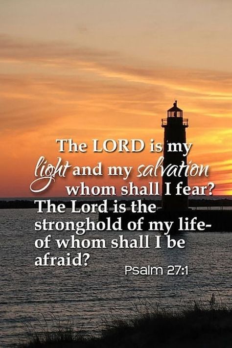 The Lord is my light and my salvation— whom shall I fear? The Lord is the stronghold of my life— of whom shall I be afraid?  (Psalms 27:1 NIV) Prayer Routine, Beautiful Word Bible, Whom Shall I Fear, Psalm 27 1, The Lord Is My Light, Psalm Scriptures, Fear The Lord, Beautiful Word, Psalm 27