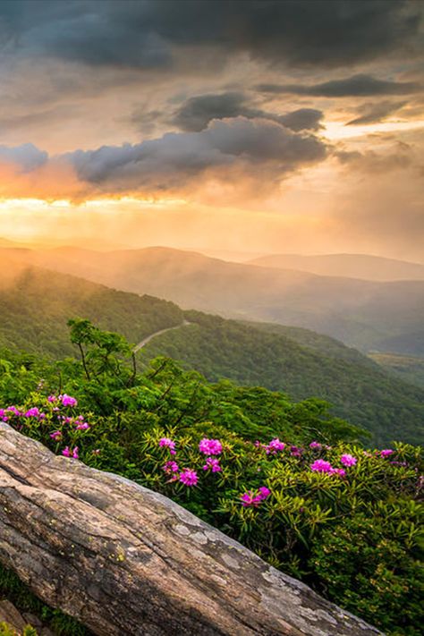 Appalachian Mountains Wallpapers Evening Scenery, Tennessee State Parks, Sunset Landscape Photography, Allegheny Mountains, Dave Allen, Fine Art Landscape Photography, Mountain Wallpaper, Mountain Sunset, Appalachian Mountains