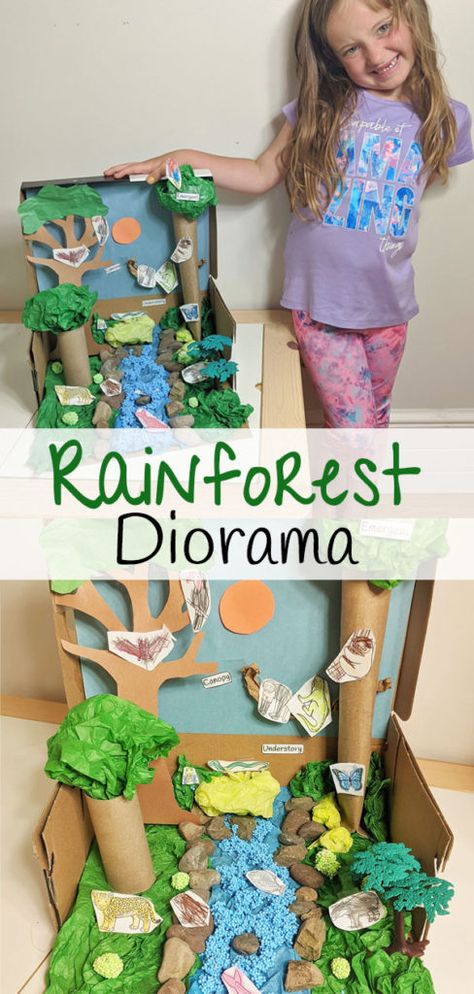 Diy Rainforest Diorama, Rain Forest Diorama For Kids, Rainforest Layers Project, Rain Forest Habitat Project For Kids, Rainforest Diarama Ideas Kids, Rainforest Habitat Diorama, Amazon Rainforest Diorama, Rainforest Projects For Kids, Rainforest Diorama Ideas