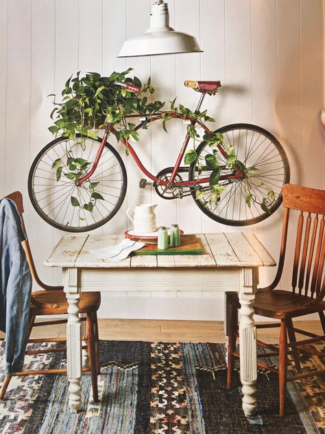 Add brackets to the wall to hang it on, then put a pothos plant in a basket. As it grows, train it to follow the lines of the bicycle and weave in and out o the spokes. Cute idea! Bicycle Ideas Decoration, Old Bike Decor, Bike Home Decor, Bike As Decor, Bicycle Decorating Ideas, Bicycle Decoration, Old Bicycle Decor, Hanging Bikes On Wall, Bike Decorating Ideas