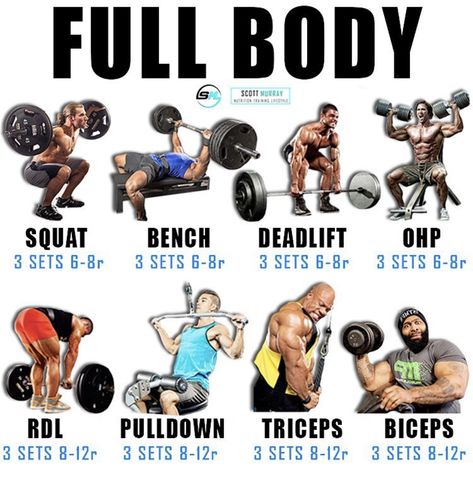 Push Pull Workout, Pull Day Workout, Body Squats, Fitness Studio Training, Full Body Workout Routine, Workout Splits, Trening Fitness, Weight Training Workouts, Mr Olympia