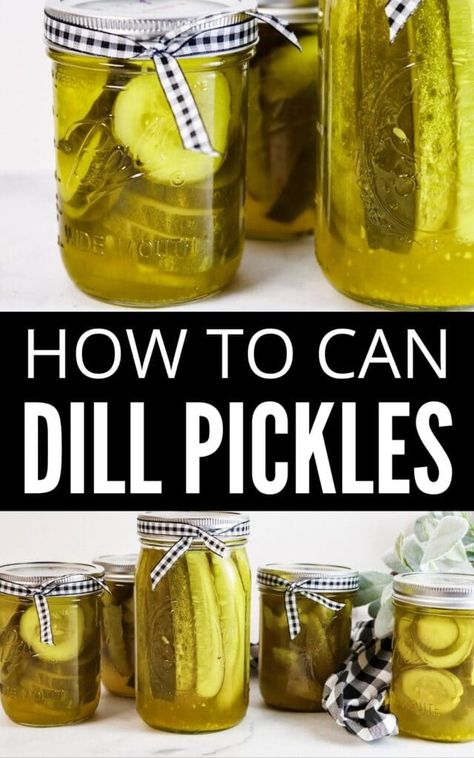 Dill Pickle Recipes For Canning, Cucumber Dill Pickle Recipes, Pickle Spears Canning, Pickle Recipes Using Pickling Spice, Home Made Dill Pickles Recipe, Dill Pickle Brine Recipe For Canning, Pickled Cucumbers Canned, Canned Dill Pickles Recipe, Pickle Canning Recipes Dill