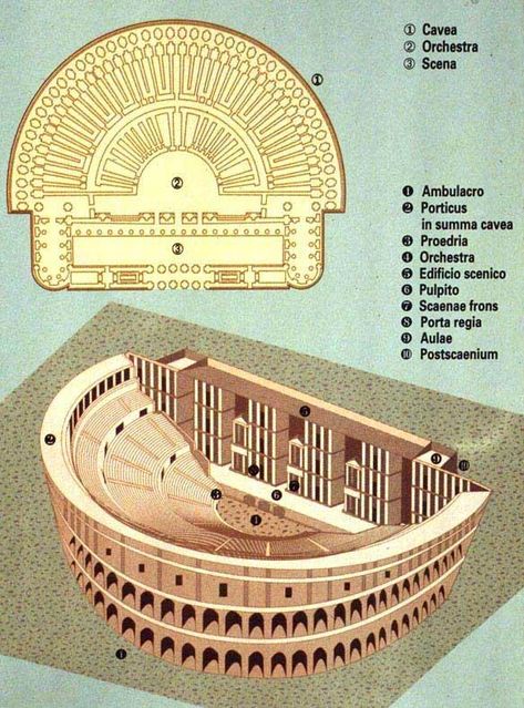 Roman theatre layout with key and terms Ancient Greek Theatre, Architecture Antique, Greek Theatre, Theater Architecture, Roman Theatre, Empire Romain, Roman City, Ancient Greek Architecture, Roman Architecture