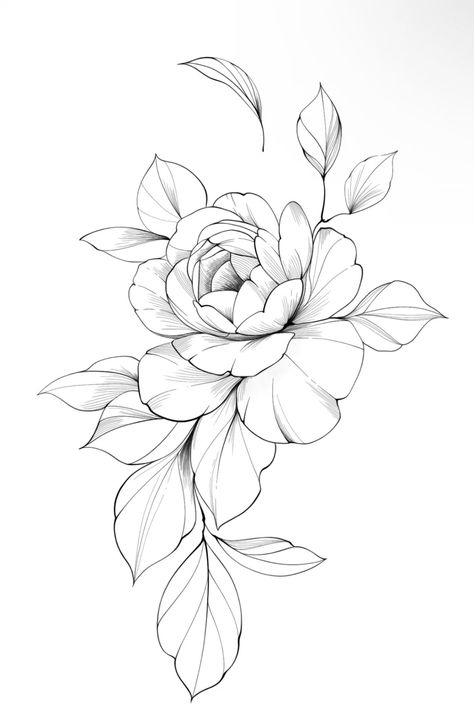 Peony Rose Tattoo Design, Flower Design Tattoo Sketches, Peony Flower Tattoo Stencil, Peony Outline Drawing, Peonies Flower Drawing, Peony Flowers Drawing, Peony Reference Photo, Lily Flower Line Drawing, Swirly Flower Tattoo