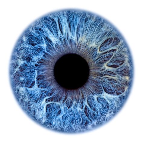 Edouard Janssens | Windows to the Soul - Iris gallery Iris Eye, Windows To The Soul, Eye Texture, Eyeball Art, Science Reading, Iris Art, Eyes Artwork, Surreal Photos, Illustration Animation