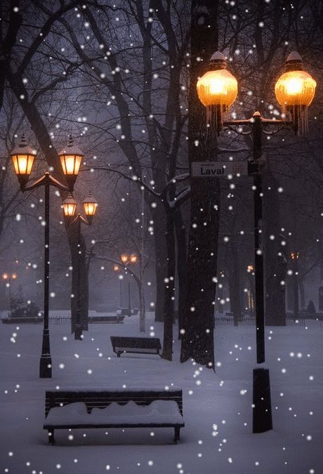 Beautiful Winter Scenes, Snow Falling, Snow Pictures, Christmas Scenery, Winter Szenen, Winter Images, Snow Flakes, Street Lights, Wallpaper Animes