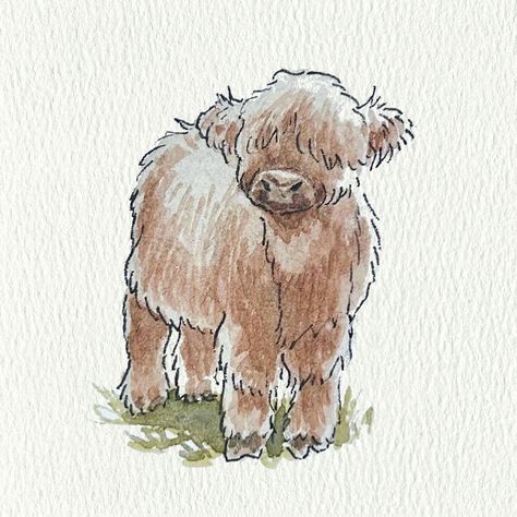 Watercolor cow sketch :) Highland Cow Drawing Easy, Highland Cow Drawing, Cow Drawing Easy, Watercolor Highland Cow, Cow Sketch, Cow Drawing, 2024 Art, Cow Pictures, Highland Cattle