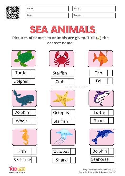 Sea Animals Worksheets for Kindergarten Sea Animal Worksheets Preschool, Sea Animals Activities, Sea Animals Activities For Preschool, Sea Animals Worksheets For Preschool, Water Animals Worksheets For Kids, Sea Animals Worksheets For Kids, Sea Animal Worksheet, Sea Animals Worksheet For Kindergarten, Ocean Animal Worksheets