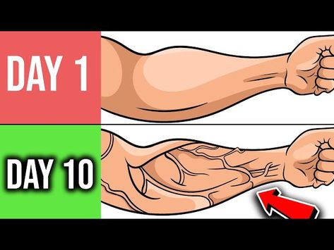 5 min ady to get veiny Arms 
Good for buddy and hund Four Arms Exercise For Men, Veiny Arms Workout At Home, Veiny Arms Exercise, Arm Veins Workout, How To Get Veiny Hands, Arms Workout For Men, Veins Workout, Forearm Workout At Home, Forearm Exercises