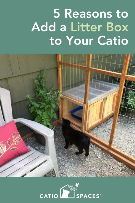 Outdoor Cat Litter Enclosure, Diy Catios For Cats Easy, Cat Litter Box Catio, Easy Catio Plans, Catio Plans How To Build, Catio Plans Diy, Catios Diy, Catify Your Home, Cat Bench