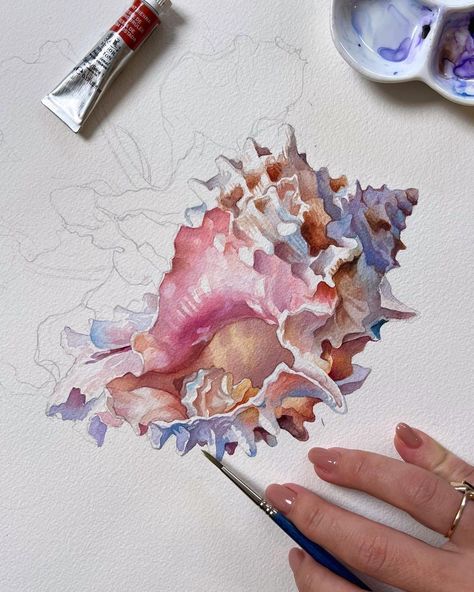 Shell Watercolor, Gcse Art Sketchbook, Inspiration Painting, Watercolor Art Lessons, Arte Sketchbook, Art Inspiration Painting, Watercolor Drawing, Painting Art Projects, Pics Art