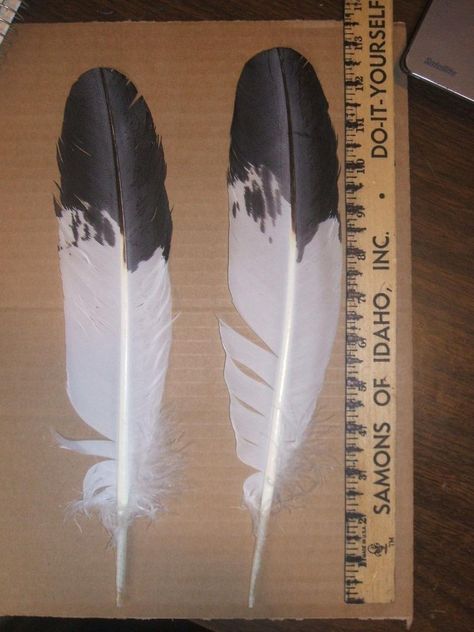 Native American Imitation Immature Golden Eagle Tail Feathers Powwow Roach | #1879485944 Golden Eagle Feather Tattoo, Eagle Feather Drawing, Bald Eagle Feather, All Them Witches, Eagle Feather Tattoos, Feathers Tattoo, Rope Tattoo, Eagle Mask, Know Your Power