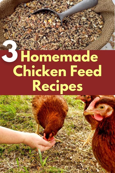 Making Your Own Chicken Feed, Diy Chicken Layer Feed Recipes, Best Chicken Feed For Layers, Chicken Feed Mix Recipe, How To Make Your Own Chicken Feed, Homemade Chicken Feed For Layers, Chicken Feed Recipes, Chicken Feed Diy, Chicken Housing