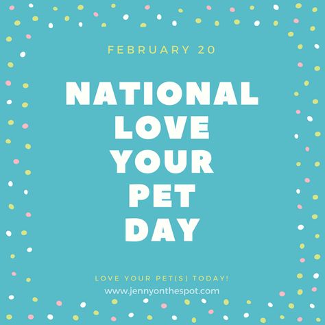 National Love Your Pet Day, Crazy Friday, Good Morning Monday, School Library Displays, Love Your Pet Day, Wacky Holidays, Inspirational Board, National Pet Day, Morning Monday