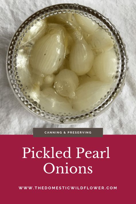 Pickled Pearl Onions Recipe, Pickled Pearl Onions, Pearl Onions Recipe, Beginner Canning, Steam Canning, Spicy Pickle Recipes, Canning Pickles Recipe, Pearl Onion Recipe, Sweet Pickles Recipe