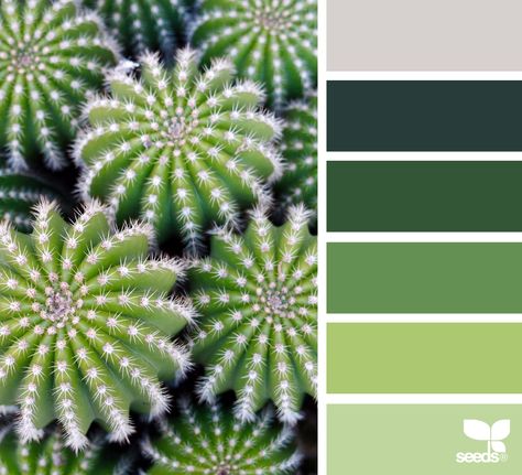 Design Seeds Design Seeds Color Palette, Seeds Color Palette, Colour Samples, Seeds Color, Pintura Exterior, Green Colour Palette, Color Palate, Design Seeds, Color Harmony