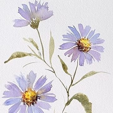 Lisa Lam 藍 | Watercolorist on Instagram: "Learn How To Paint Aster Flowers in my Skillshare Class : 7-Day Watercolor Floral Challenge 💜Join the class via the Skillshare link in my bio ." Watercolor Aster Flower, Aster Watercolor Paintings, Aster Flower Painting, Aster Watercolor, Digital Watercolor Illustrations, September Flower, Simple Watercolor Flowers, Watercolor Botanicals, Aster Flowers