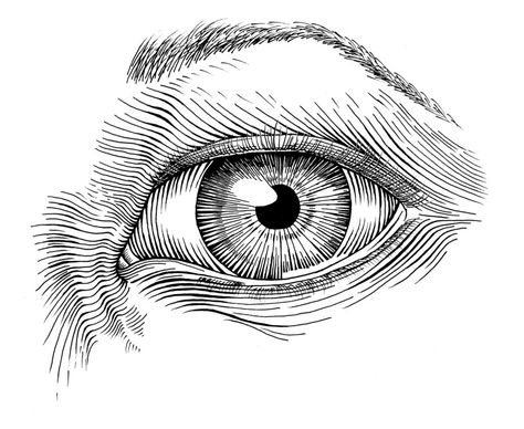 eyeing you Realistic Eye Drawing, Drawings Tutorials, White Drawing, Cross Hatching, Ink Drawings, Ink Illustrations, Art Ink, Pen Art, Ink Pen Drawings