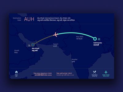 Inflight Flight Tracker Abu Dhabi International Airport, Flight Map, Flight Tracker, Airplane Flight, Travel Infographic, Information Graphics, Online Surveys, Illustrated Map, Interactive Map