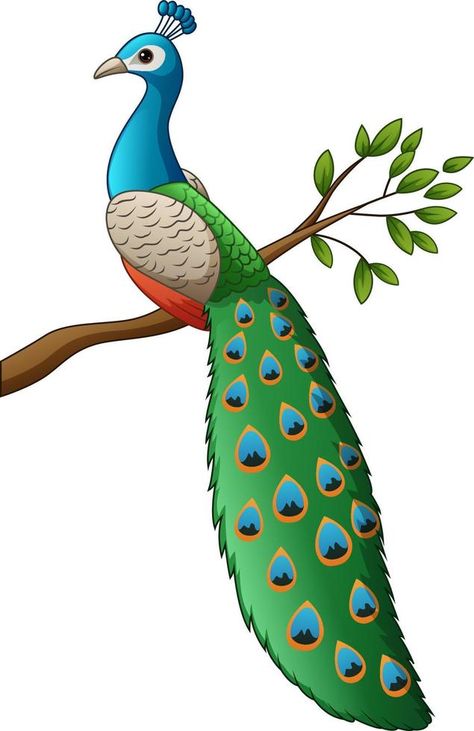 Cartoon cute peacock on a branch Peacock Drawing Images, Peacock Drawing With Colour, Peacock Vector, Cute Peacock, Branch Drawing, Peacock Drawing, Peacock Images, Rabbit Drawing, Ring Holder Wedding