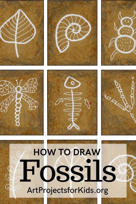 Learn how to draw a fossil, and make it look like it really is imprinted in stone. White lines on brown paper give them a much more realistic look. #howtodraw #tutorial #drawing #drawingtutorial #arttutorial #artprojectsforkids #howtodrawforkids Fossils Drawing, Fossil Drawing, Fossils Lesson, Dino Crafts, Diy Fossils, Dinosaur Art Projects, Fossils Activities, Geology Art, Fossil Art