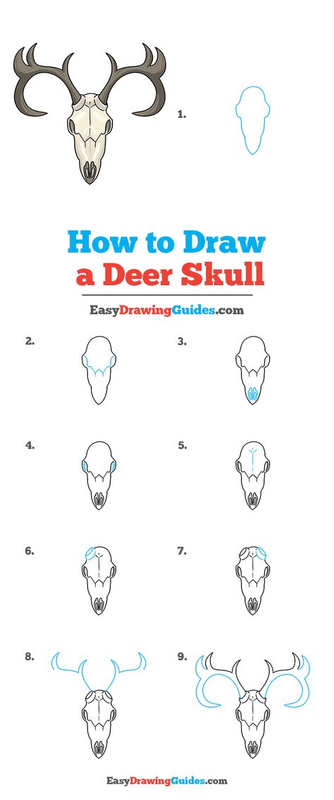 How To Draw Deer Skull, How To Draw A Cow Skull, Deer Head Drawing Easy, How To Draw Animal Skulls, Moose Skull Drawing, Deer Skull Drawing Simple, How To Draw Antlers, Wendigo Drawing Easy, How To Draw A Moose