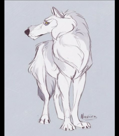 Woods Animals, Wolves Art, Avatar Animals, Dog Anatomy, Wolf Artwork, Animal Drawings Sketches, Dog Sketch, Characters Inspiration Drawing, Canine Art