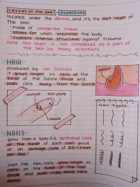 Notes For Medical Terminology, Med School Note Taking, Notes Aesthetic Medical, Medical Terminology Notes Study Guides, Esthetics School Notes, Beauty School Cosmetology Notes, Stna Notes, Cosmetology Study Notes, Cosmetology Student Instagram Bio