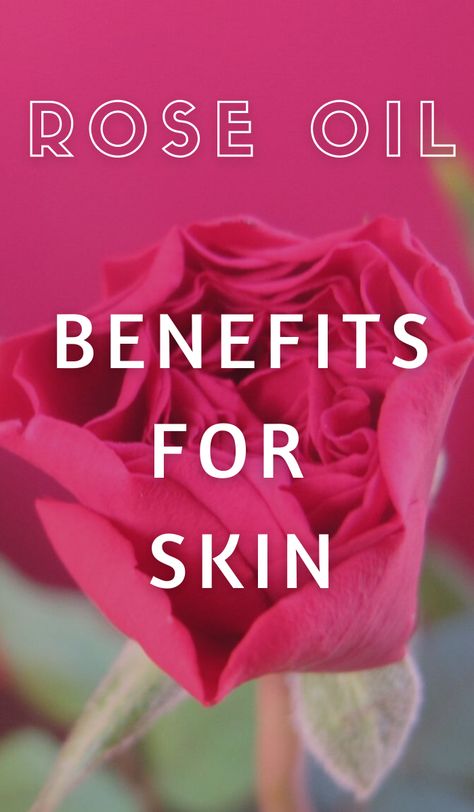 Benefits Of Rose Essential Oil, Rose Benefits For Skin, Rose Essential Oil Recipes, Essential Oil Benefits For Skin, Rose Essential Oil Benefits, Benefits Of Rose Oil, Rose Oil Benefits, Rose Oil For Skin, Oil Benefits For Skin