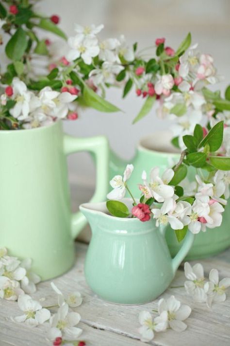 Green Vases, Flower Cottage, Home Floral Arrangements, Apple Theme, Easter Colors, Container Flowers, Spring Blossom, Green Flower, Apple Blossom