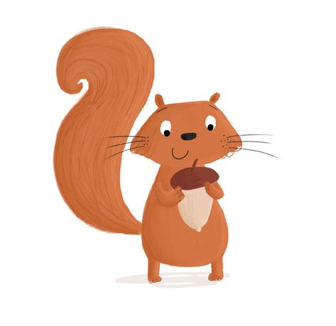 Today I'm drawing squirrels! Squirrel Pics, M Drawing, Squirrel Illustration, Squirrel Art, Hampshire Uk, Cute Squirrel, Childrens Illustrations, Children's Book Illustration, Squirrels