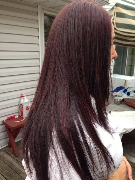 Chocolate Brown & dark mahogany brown highlight effect color Dark Mahogany Brown Hair, Medium Hairstyles For Round Faces, Chocolate Cherry Hair Color, Mahogany Hair Color, Dark Mahogany Brown, Mahogany Brown Hair, Pelo Chocolate, Modern Waterfall, Cherry Hair Colors