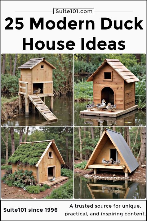 25 Duck House Ideas and Plans for Your Flock Home Duck Pond, Duck House Ideas Diy, Goose House Ideas, Duck Ponds Backyard Diy, Pallet Duck House, Duck Waterer No Mess, Duck House Ideas, Duck Activities, Duck Coop Ideas