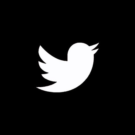 Twitter App Icon, App Store Icon, Twitter App, Black Twitter, Black App, Icon X, App Logo, Custom Icons, App Icon Design