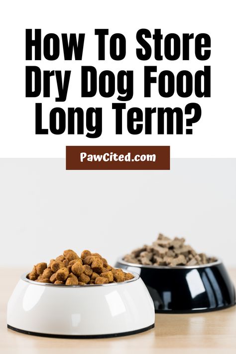 Going to a pet store constantly is a kind of hassle and time-consuming. Is there a way to make dog food last? Find out here. #dogfood #storedogfood #dogs Make Dog Food, Dog Food Container, Long Dog, Frozen Dog, Natural Dog Food, Raw Dog Food Recipes, Dog Store, Natural Preservatives, How To Store