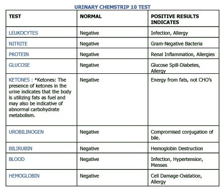 Urinalysis Urinalysis Interpretation, Gram Negative Bacteria, Clinical Chemistry, Nursing Student Tips, Positive Results, Medical Assistant, Negative Energy, Nursing School, Nursing Students