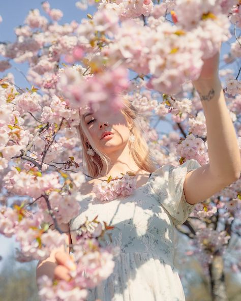 Cherry Blossom Film Photography, Cherry Blossom Editorial, Cherry Blossom Instagram Photos, Springtime Photoshoot, Cherry Blossom Portrait, Sakura Photoshoot, Cherry Blossom Photoshoot, Sakura Photography, Blossom Photoshoot