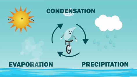 via makeagif Water Cycle Song, Science Songs, The Water Cycle, Make A Gif, Water Cycle, Make A Video, Flower Painting, Gif, Science