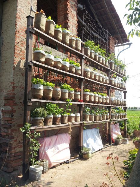 Self watering vertical garden with recycled water bottles Vertical Vegetable Gardens, Vertical Vegetable Garden, Garden Decoration Ideas, Vertical Herb Garden, Vertical Garden Diy, Urban Agriculture, Vertical Gardening, Walled Garden, Royal Garden