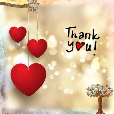 Thank You Quotes Gratitude, Thank You Messages Gratitude, Thank You Wallpaper, You Pic, Thank You For Birthday Wishes, Thank U Cards, Thank You Pictures, Thank You Wishes, Thank You Images