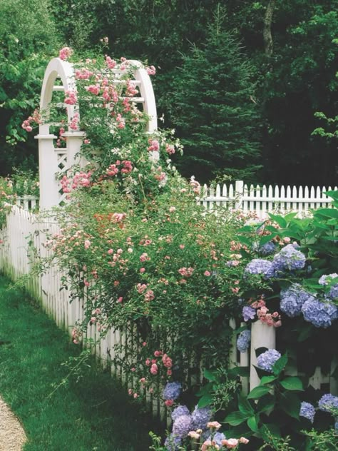 An arbor with climbing roses makes a great garden entrance. Climbing Rose Arbor, Garden Arbor With Gate, Climbing Roses Trellis, Roses Climbing, Lilac Cottage, Garden Archway, Rose Garden Design, Rose Arbor, Stone Steps