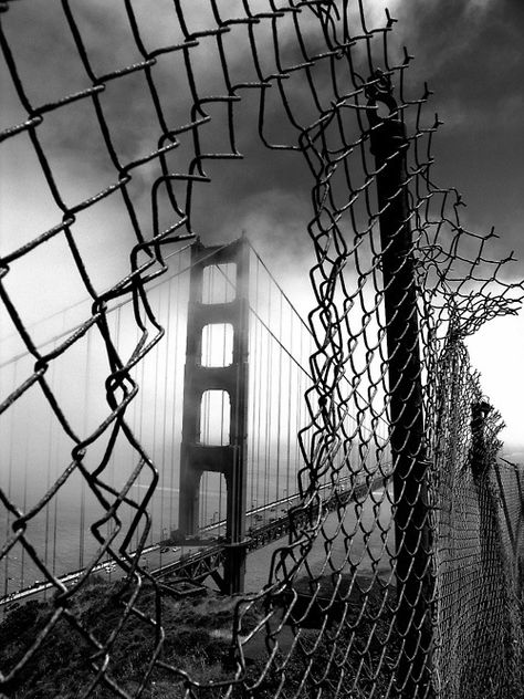 San Fran Wow Photo, Nice Pic, Black And White Photograph, Chain Link Fence, Photo B, Foto Art, Black N White Images, White Picture, Class Ideas