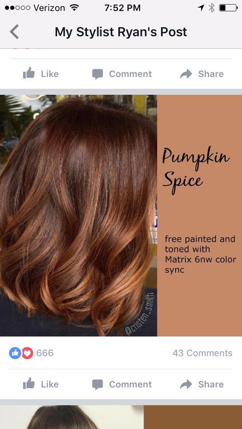 Pumpkin Spice Hair, Red Brown Hair, Red Highlights, Winter Hair Color, Trendy Hair Color, Hair Color And Cut, Hair Color Balayage, Winter Hairstyles, Brown Hair Colors