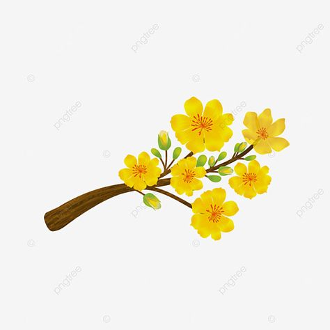 Yellow Apricot Blossom, Yellow Png, Apricot Blossom, Watercolor Png, Branch Decor, Holiday Background, Flower Branch, Flower Border, Background Vintage