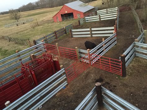 Looking for Used Guardrail For Sale? We have that and New Cattle Facility, Cattle Corrals, Livestock Fence, Cow Pen, Livestock Barn, Cattle Barn, Cattle Panels, Farm Layout, Show Cattle