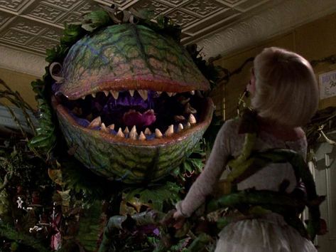 Why 'Little Shop of Horrors' Is Actually Uniquely Traumatizing - Thrillist Shiny Moana, Suddenly Seymour, Audrey 2, Chinese Plants, Frank Oz, Rick Moranis, Audrey Ii, Plant Monster, Roger Corman